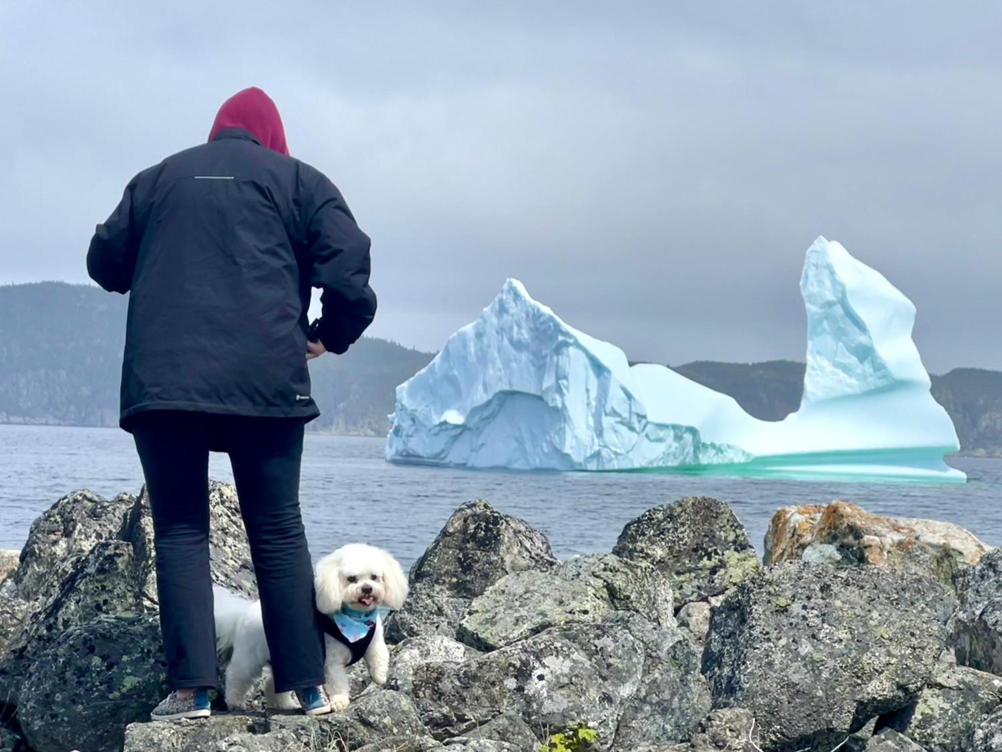 The View Suites And Breakfast In Triton, Newfoundland Pilley's Island 외부 사진