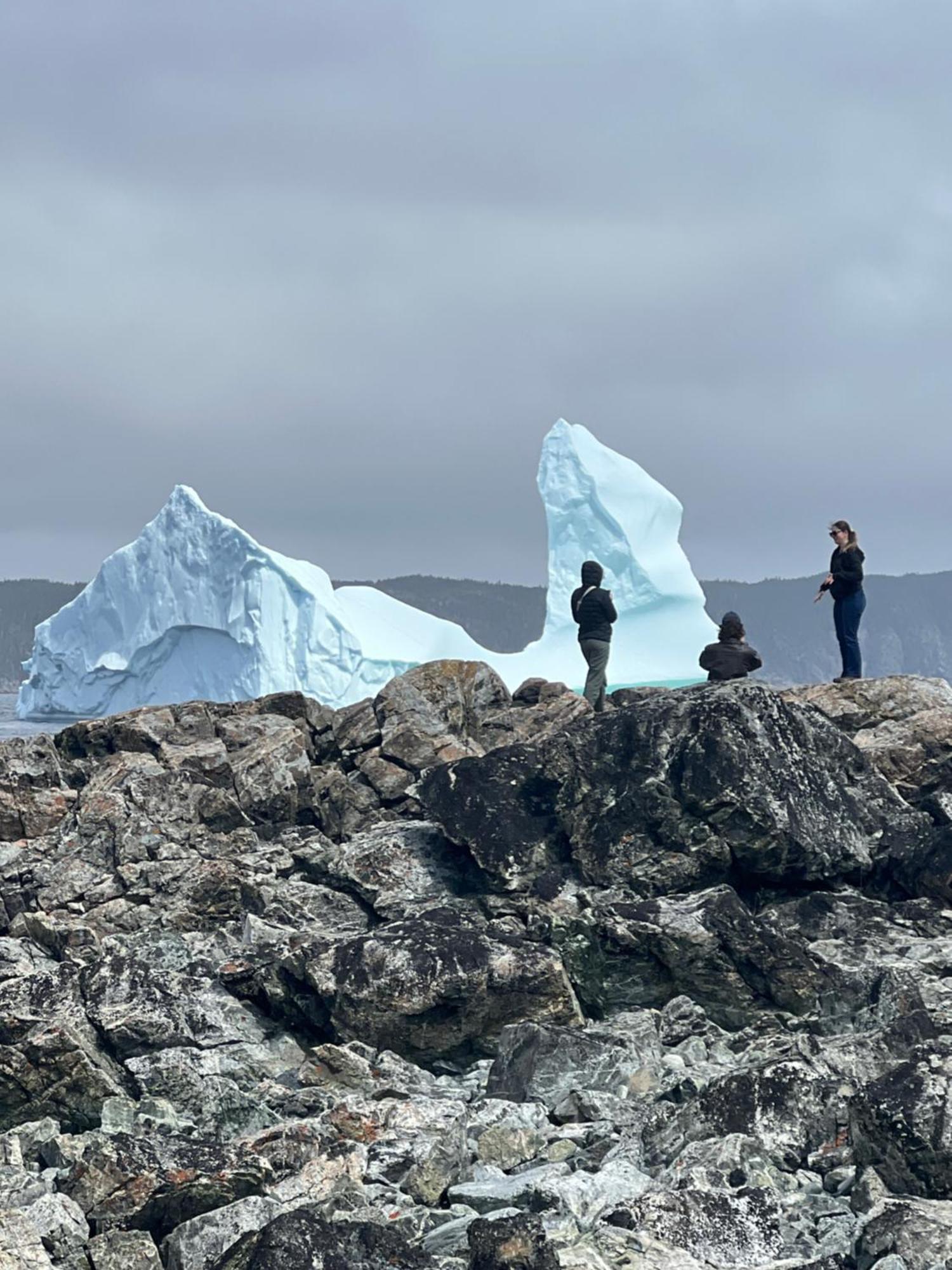 The View Suites And Breakfast In Triton, Newfoundland Pilley's Island 외부 사진