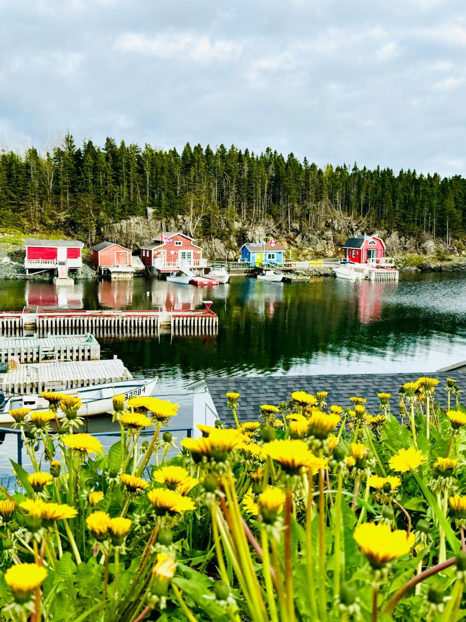 The View Suites And Breakfast In Triton, Newfoundland Pilley's Island 외부 사진